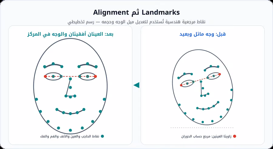 رسم تخطيطي لوجه مائل عليه نقاط مرجعية للفك والحاجبين والعينين والأنف والفم، ثم الوجه نفسه بعد المحاذاة وقد أصبح الخط بين زاويتي العينين أفقيًا