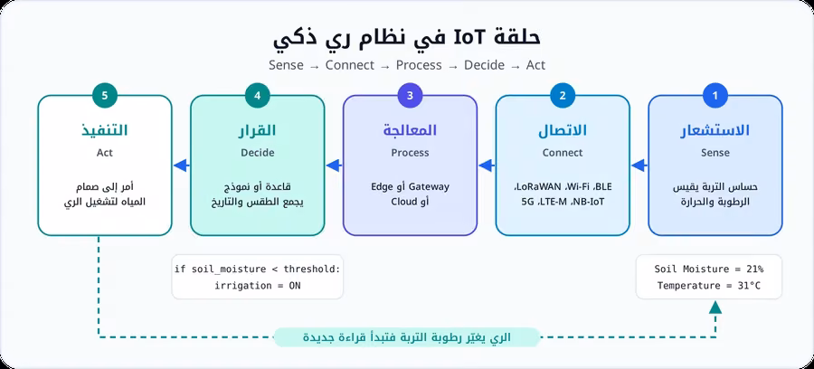 حلقة نظام ري ذكي من خمس مراحل: الاستشعار ثم الاتصال ثم المعالجة ثم القرار ثم التنفيذ بفتح صمام المياه، مع قراءة رطوبة 21% وقاعدة if soil_moisture أقل من العتبة